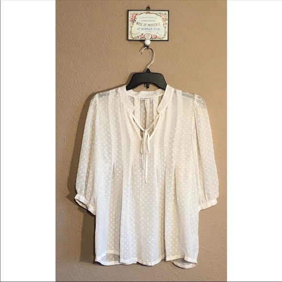 Anthro Daniel Rainn Swiss Dot Chiffon Blouse Ivory - Picture 3 of 7